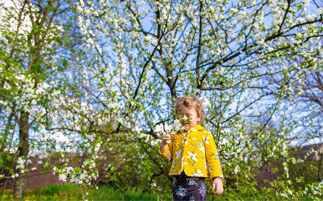 Ein Gartenjahr mit Kindern – Natur erleben im Wandel der Zeit