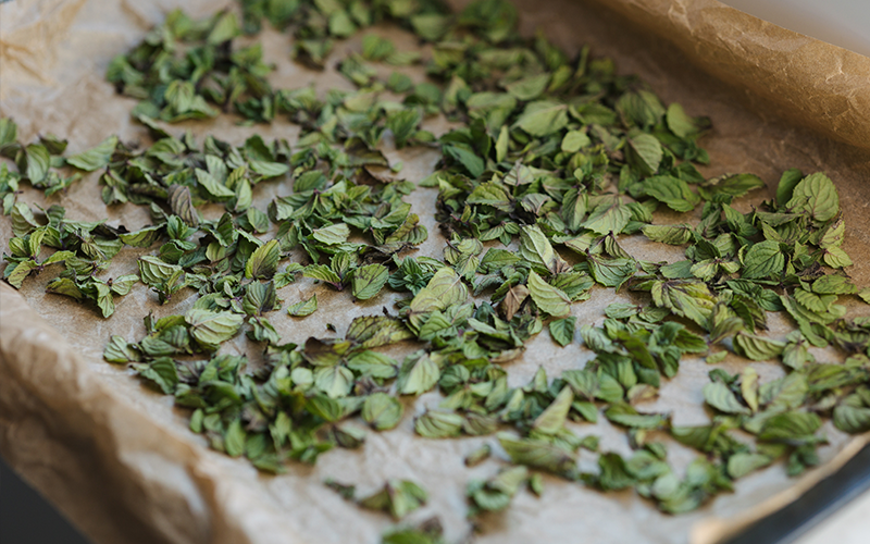 Kräuter trocknen & konservieren – So bleiben Aroma und Geschmack erhalten