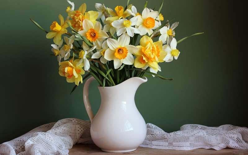 Frühlingsstrauß aus gelb-weißen Narzissen in einer weißen Kanne als Tischdeko