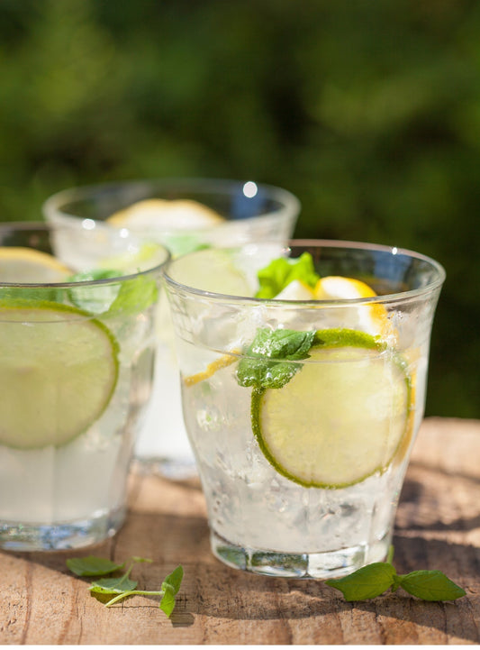 Frischer Mojito-Drink – Klassisches Rezept mit fruchtigem Twist & Bar-Station-Tipp