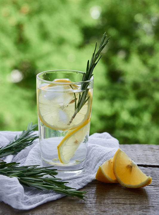 Erfrischende Kräuterlimonade in einem Glas, garniert mit frischen Zitronenscheiben, Eiswürfeln und einem Zweig Rosmarin. 