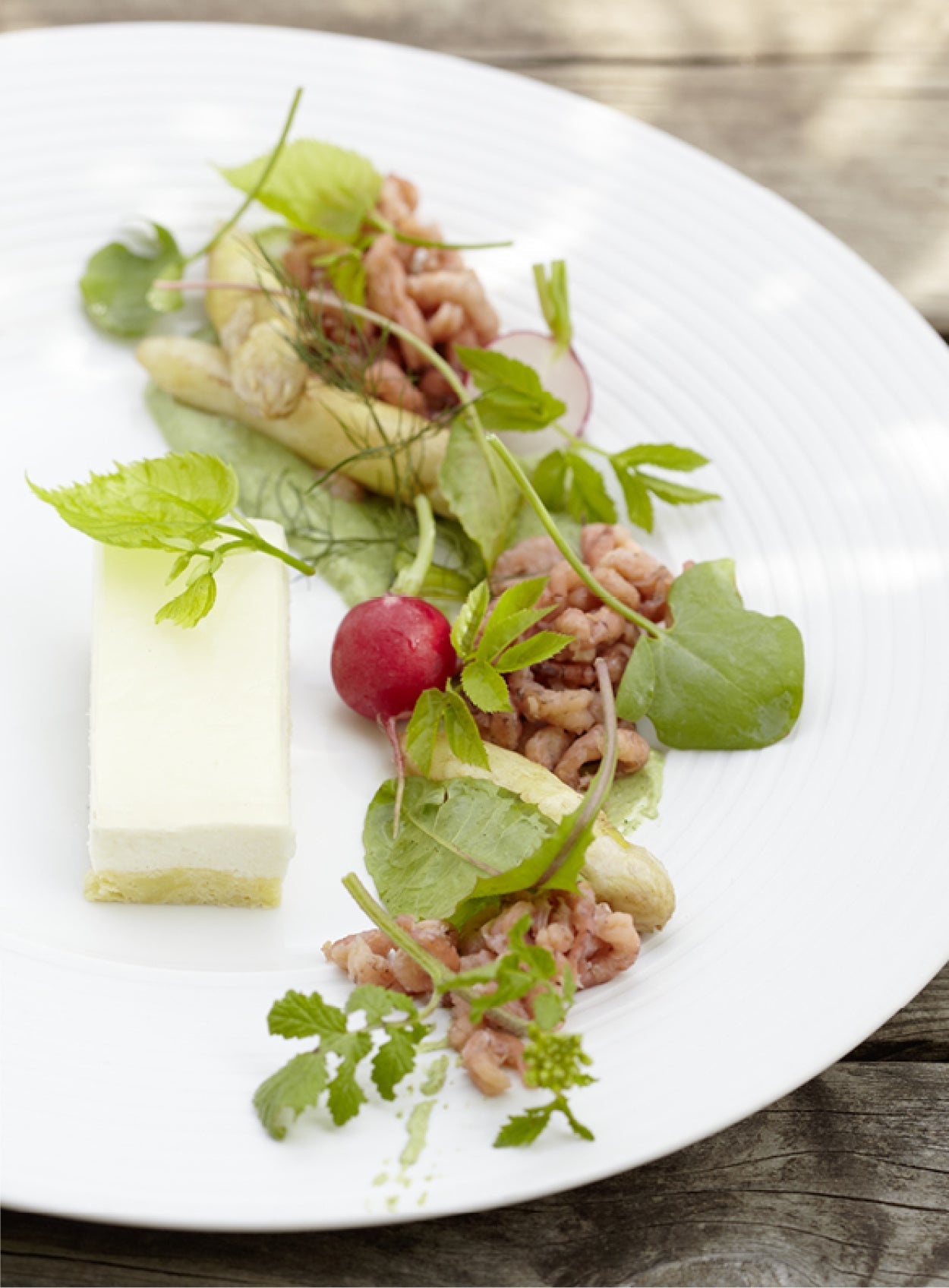 Gourmet-Vorspeise mit Spargelmousse, Nordseekrabben, Wildkräutern und Radieschen auf weißem Teller – elegant angerichtet auf rustikalem Holztisch.