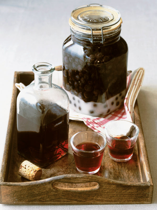 Schlehengin – Ein aromatisches Getränk aus wildem Obst