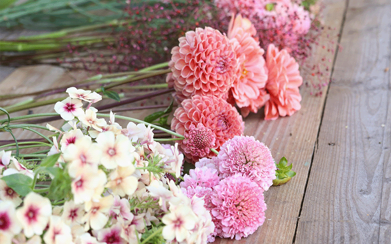 Nahaufnahme verschiedener Sommerblumen auf einem Holztisch