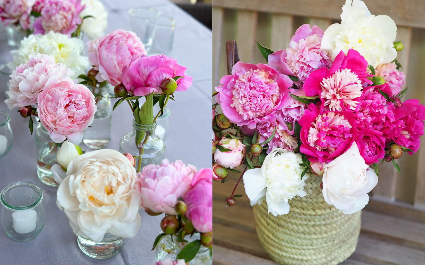 Pfingstrosen in Rosa, Pink und Weiß als Tischdekoration und Blumenstrauß arrangiert.
