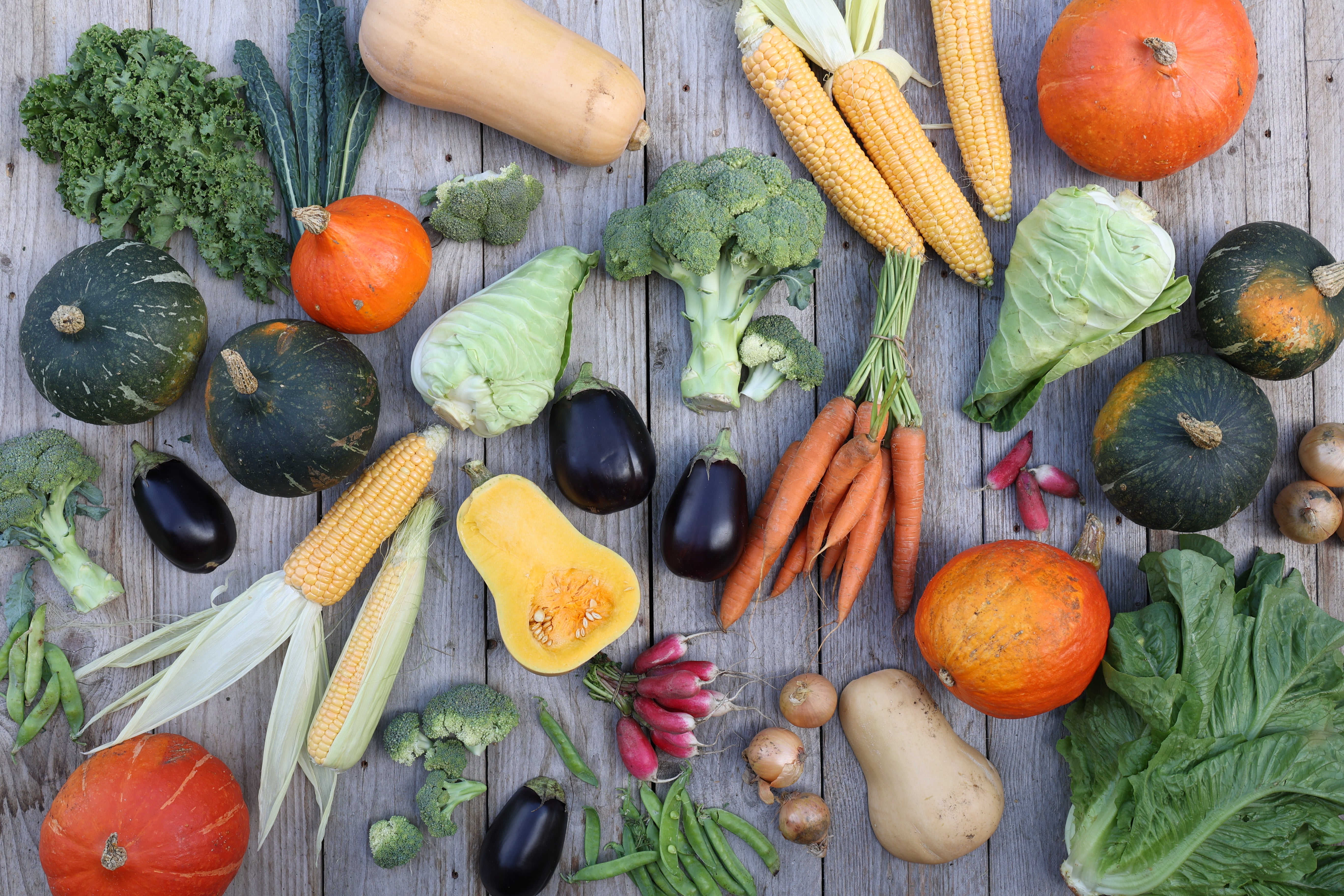 Flatlay - verschiedenes Gemüse 