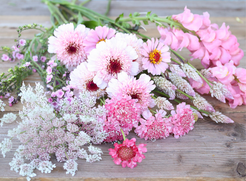 Blumenstrauß-Kollektionen