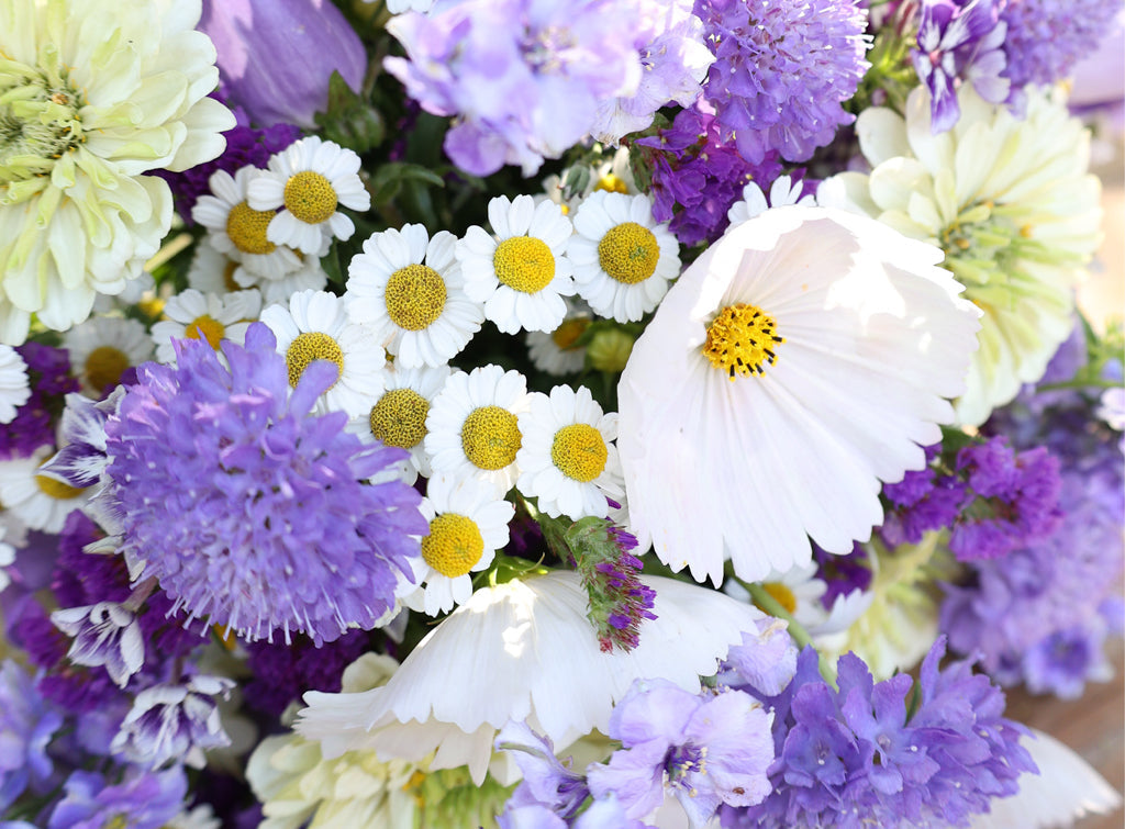 Violet Symphony · Blumenstrauß · Inspiration von Gartenzauber