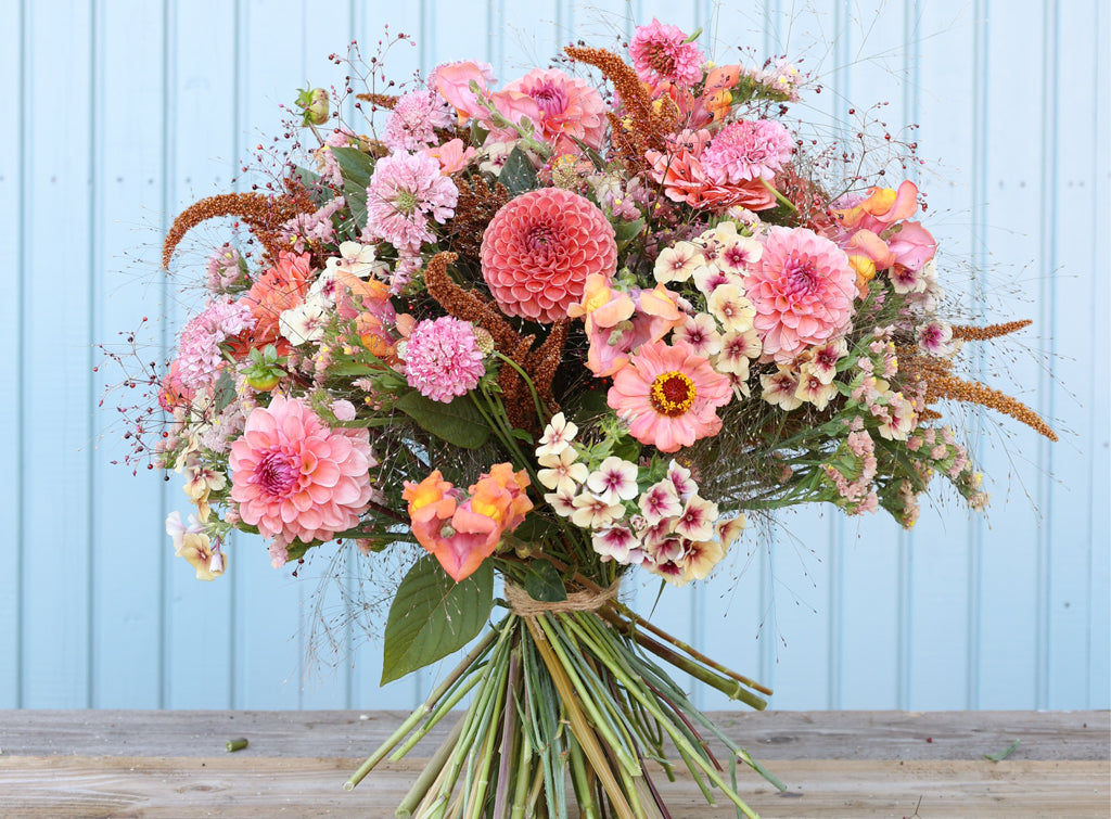 Saatgutpaket Blush & Bloom
