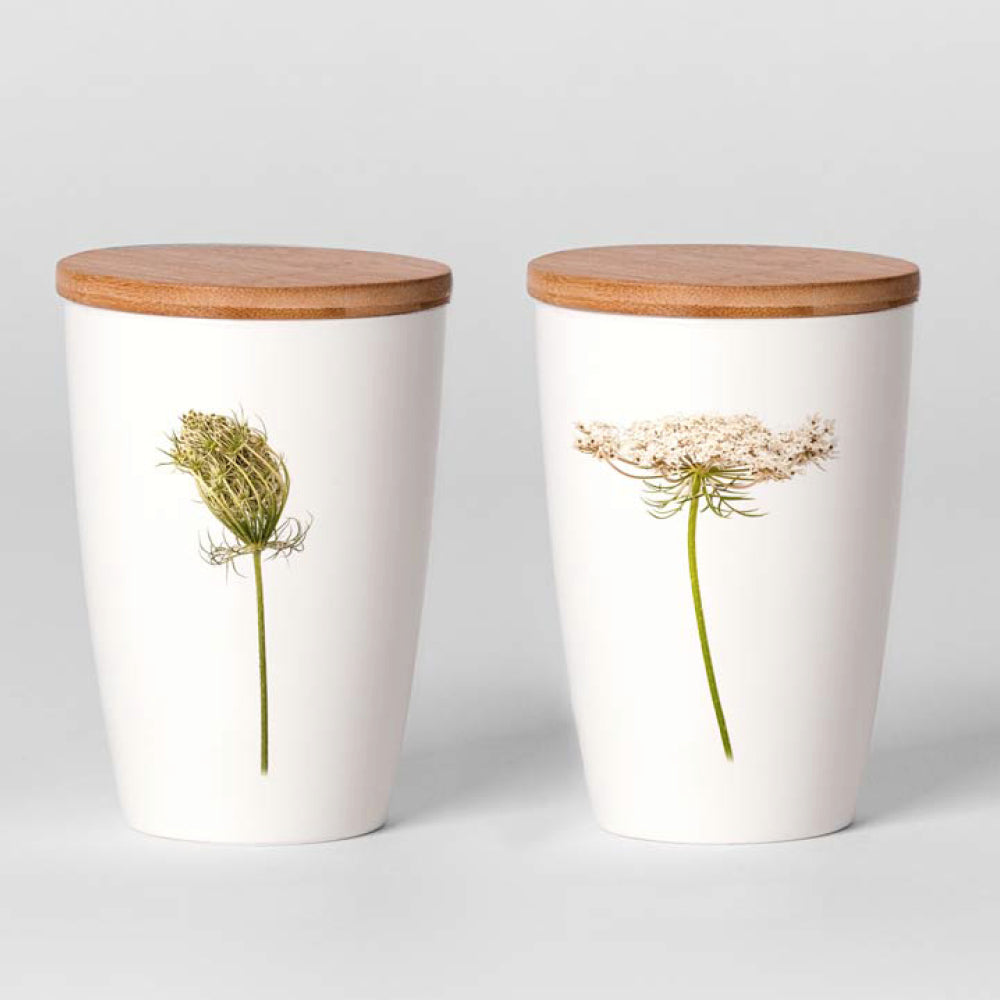Zwei weiße Keramikbehälter mit Holzdeckeln, einer zeigt eine botanische Illustration einer Samenhülse, der andere eine filigrane Blume.
