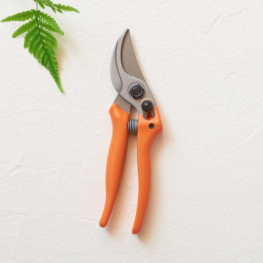 Orange Gartenschere mit ergonomischen Griffen, scharfe Edelstahlklingen, auf hellem Hintergrund, neben Farnblatt positioniert.