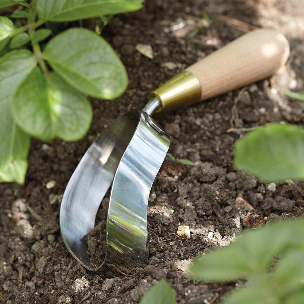 Ein Edelstahl-Erdschaufel mit Holzgriff liegt auf dunkler Erde in einem Garten, umgeben von grünen Pflanzenblättern.