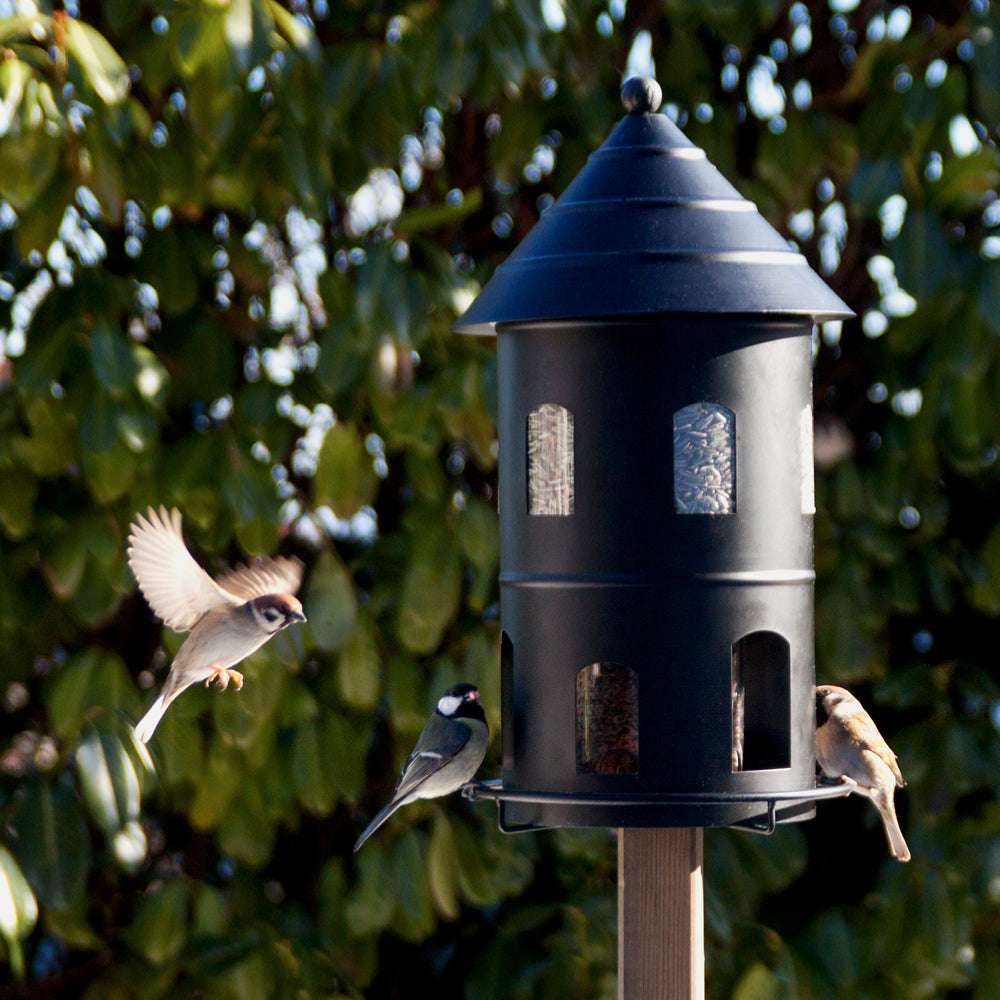 Gigant Futterstation Schwarz von Wildlife Garden im Garten montiert
