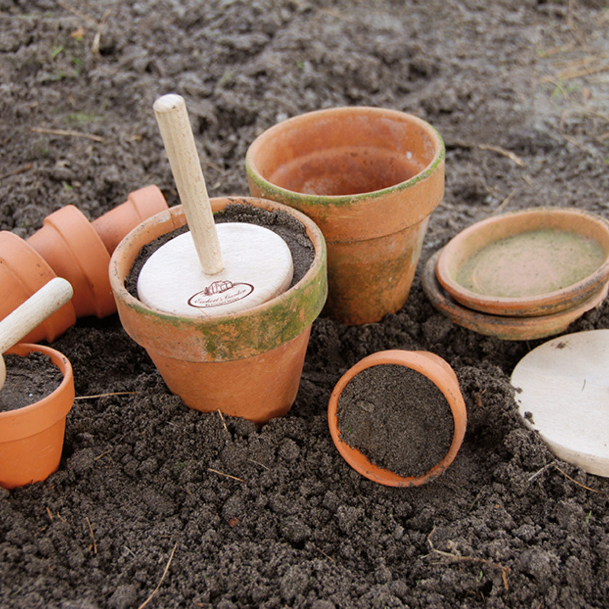 Topfstößel aus Buchenholz · Limitierte B-Ware · reduziert wegen kleiner Schönheitsfehler