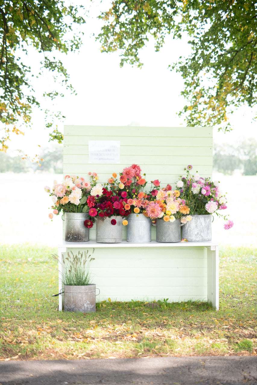 Kleiner Stand im Freien mit verschiedenen bunten Blumen in Metallbehältern, umgeben von Bäumen und einer Grasfläche, idyllische Szenerie.