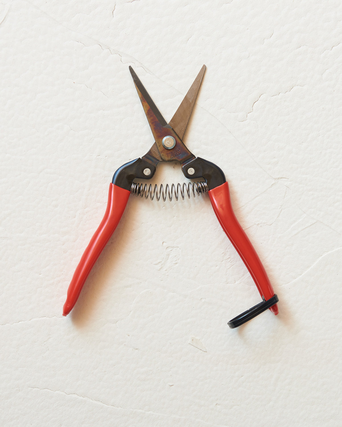 Geöffnete ARS Allzweckschere in Rot mit spitzen Klingen und ergonomischen PVC-Griffen.