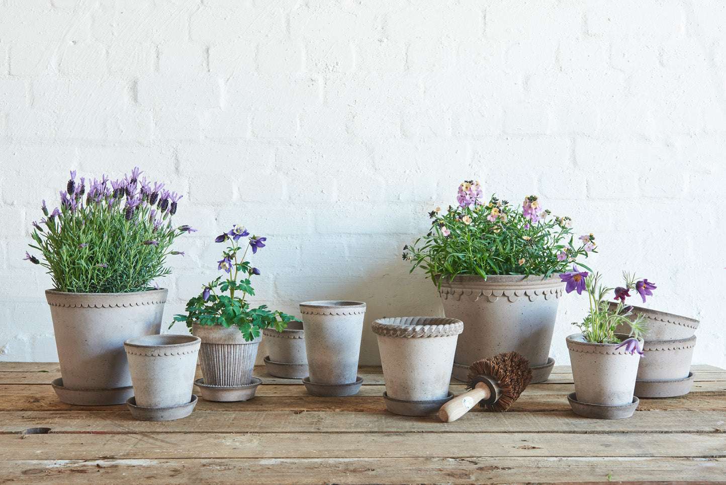 Verschiedene dekorative Terrakotta-Gartenpflanzgefäße mit Lavendel und bunten Blumen auf Holzoberfläche vor weißer Ziegelwand.