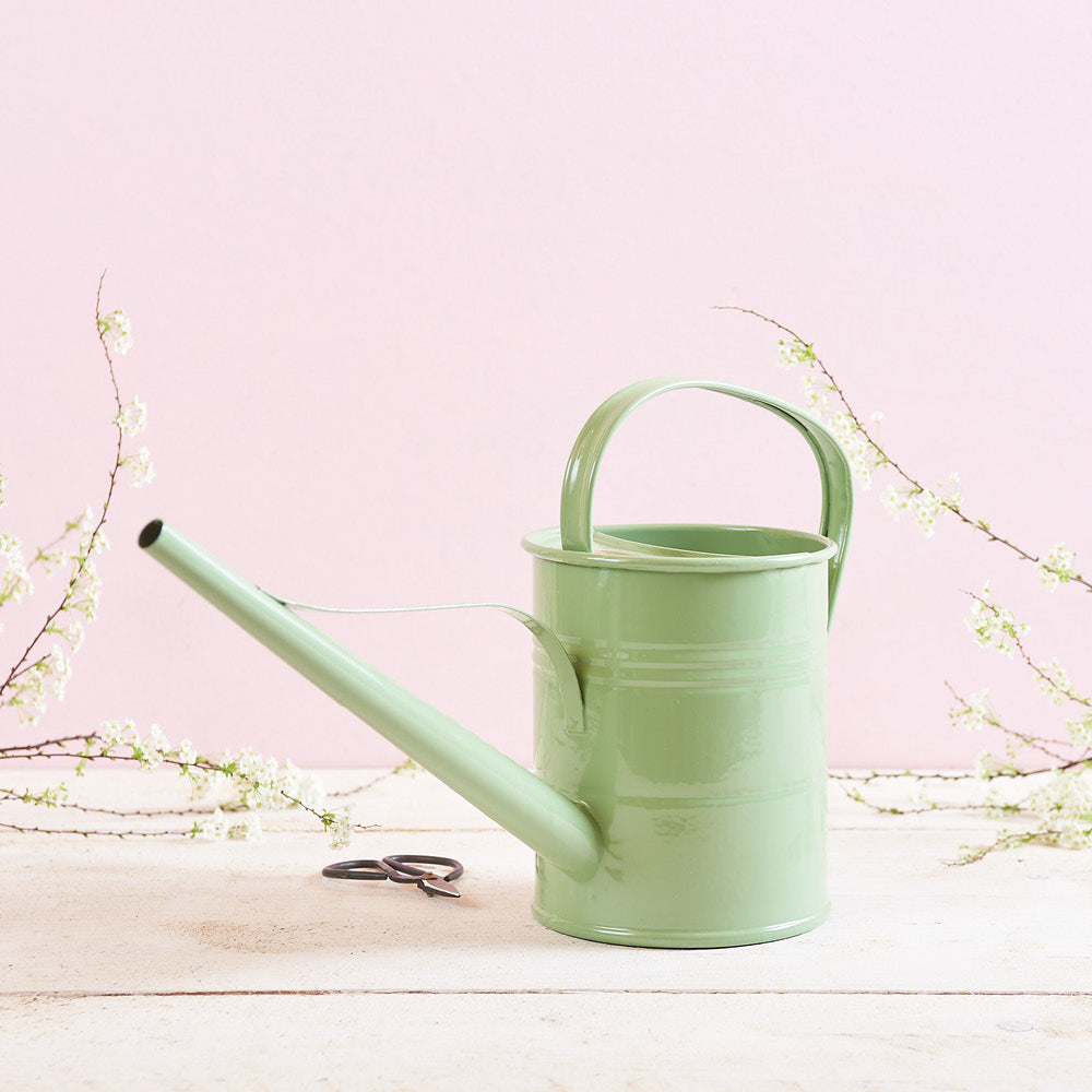 Grüne Gießkanne aus Metall auf einem hellen, rustikalen Tisch, umgeben von zarten weißen Blüten vor einem pastellrosa Hintergrund.