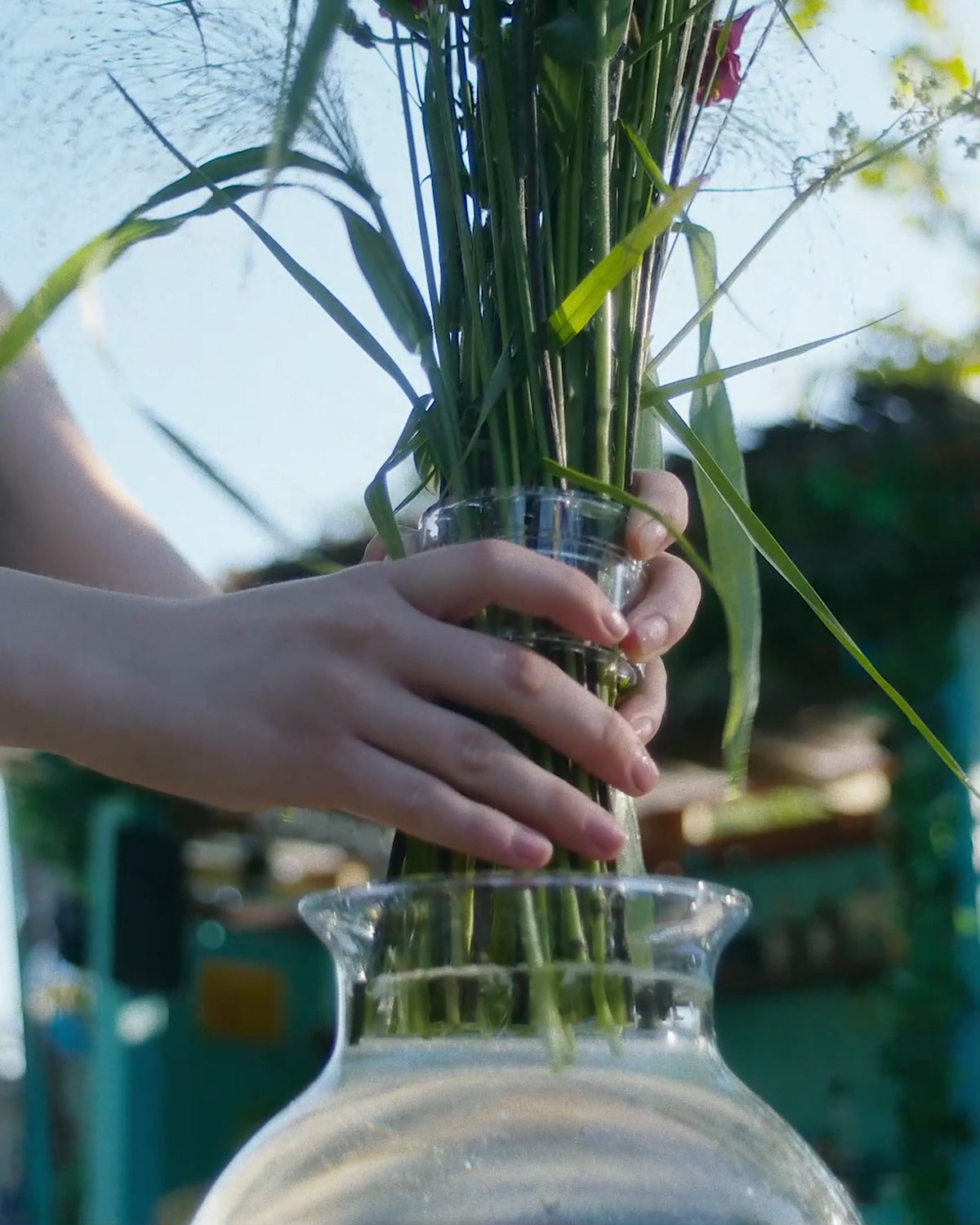 Blumenstiele werden mit dem Hanataba „Crystal Clear“ in einer Vase arrangiert.