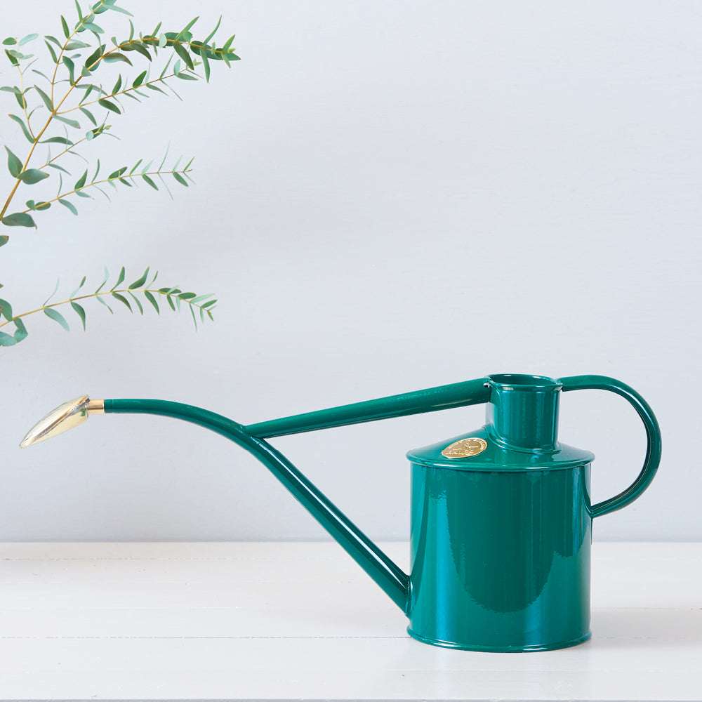 Eine elegante, grüne metallene Gießkanne mit langem Auslauf und Griff, dekorativ neben Pflanzenzweigen auf weißem Hintergrund.