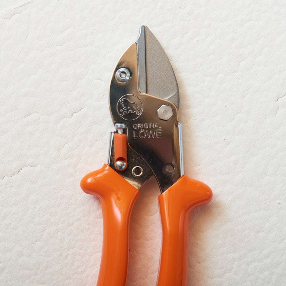 Detailansicht Original LÖWE 5.127 – Amboss-Schere für feine Gartenarbeiten