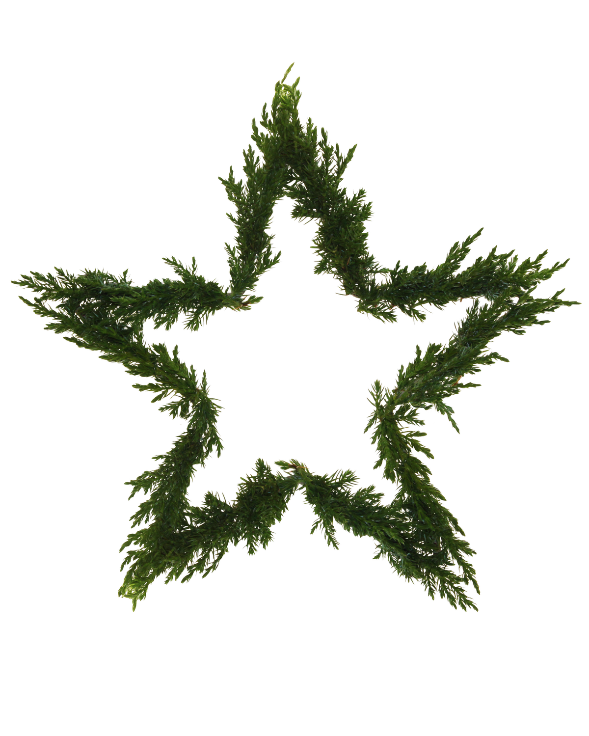 Fensterdekoration mit Metall-Sternen – natürliche Weihnachtsdeko von Eldgarden