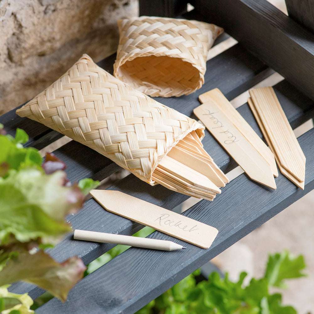 Geflochtener Korb mit Holzpflanzenetiketten, teils beschriftet, auf grauem Regal im Garten, umgeben von grünen Blättern.