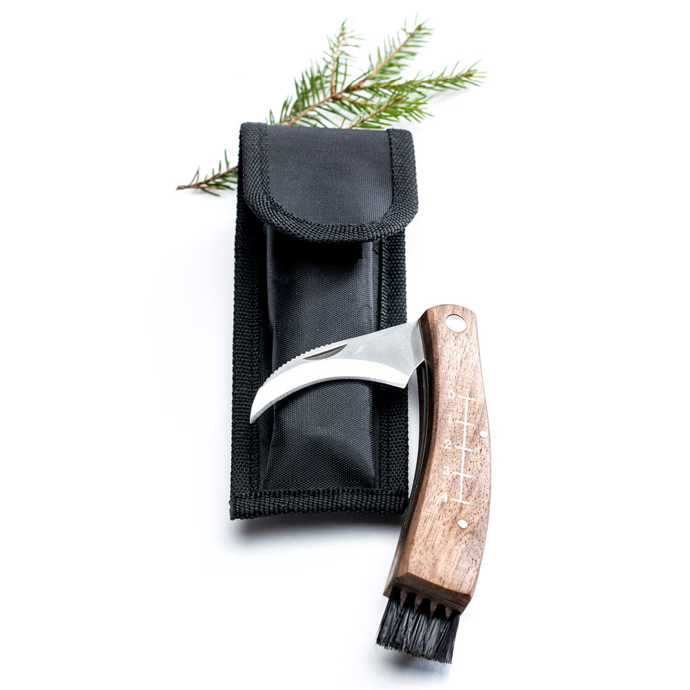Holz-Griff-Pilzmesser mit gebogener Klinge und Bürste, neben schwarzer Hülle, dekoriert mit grünem Zweig im Hintergrund.
