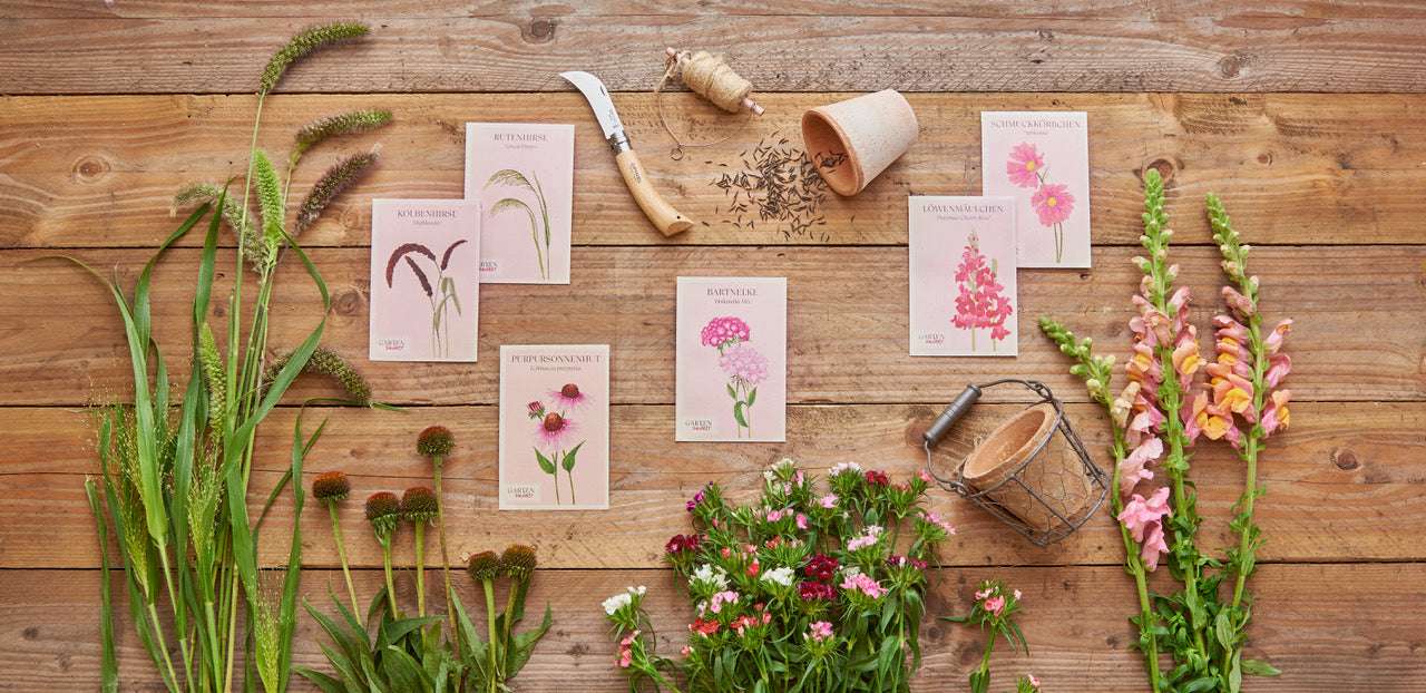 Saatgutpakete und Gartengeräte auf einem Holztisch mit verschiedenen blühenden Blumen, arrangiert für die Bepflanzung und Gartenplanung.