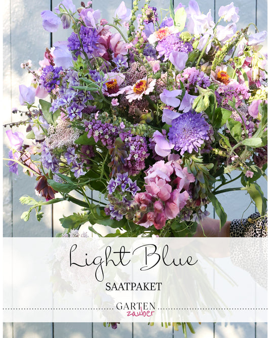 Titelbild des Gartenzauber-Saatgutpakets Light Blue mit Abbildung eines daraus gestaltbaren Sommerstraußes in Blau- und Pastelltönen.