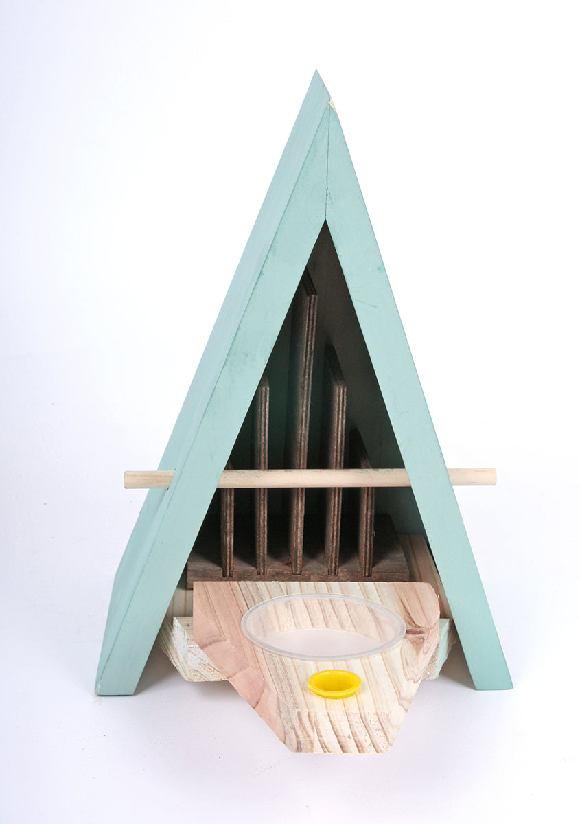 Schmetterlingshaus · Limitierte B-Ware · reduziert wegen kleiner Schönheitsfehler