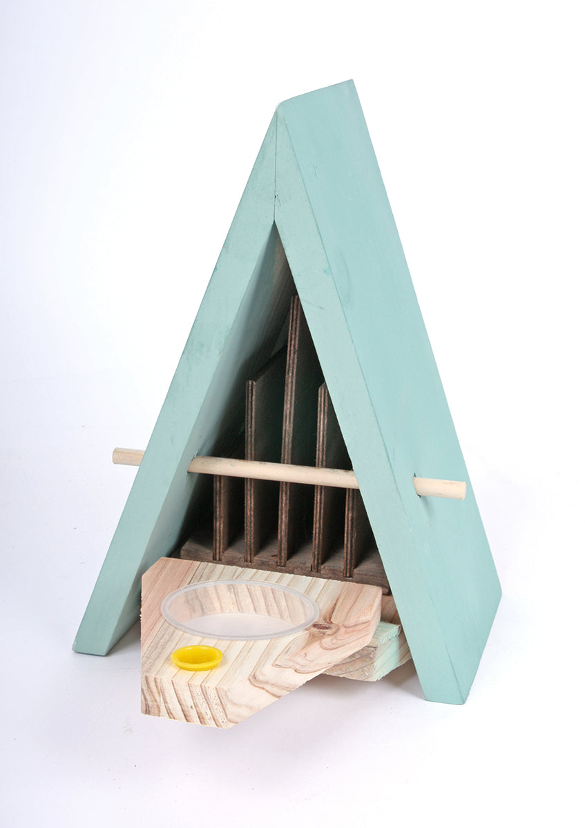 Schmetterlingshaus · Limitierte B-Ware · reduziert wegen kleiner Schönheitsfehler