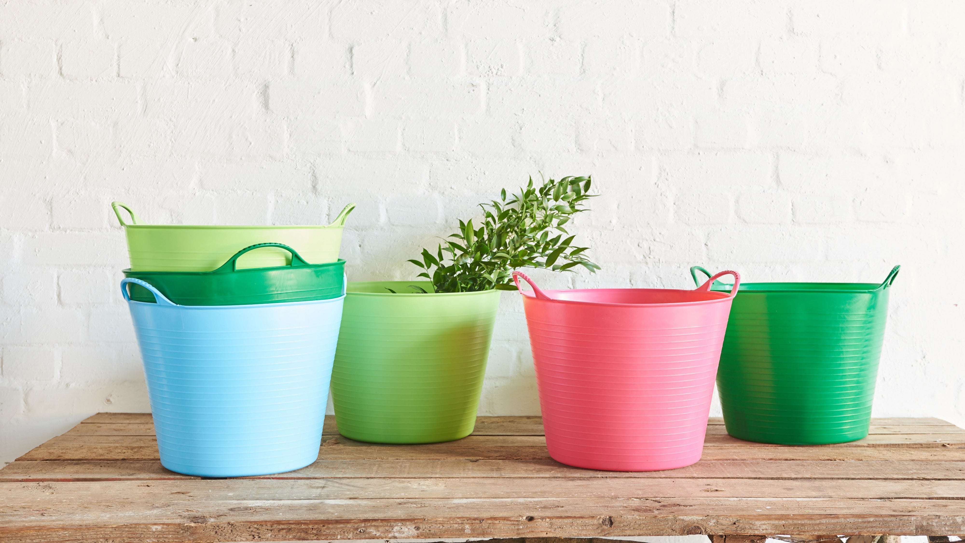 Fünf bunte, flexible Gartenkübel in Blau, Grün und Rot auf Holztisch vor weißer Mauer; einer enthält eine Pflanze.