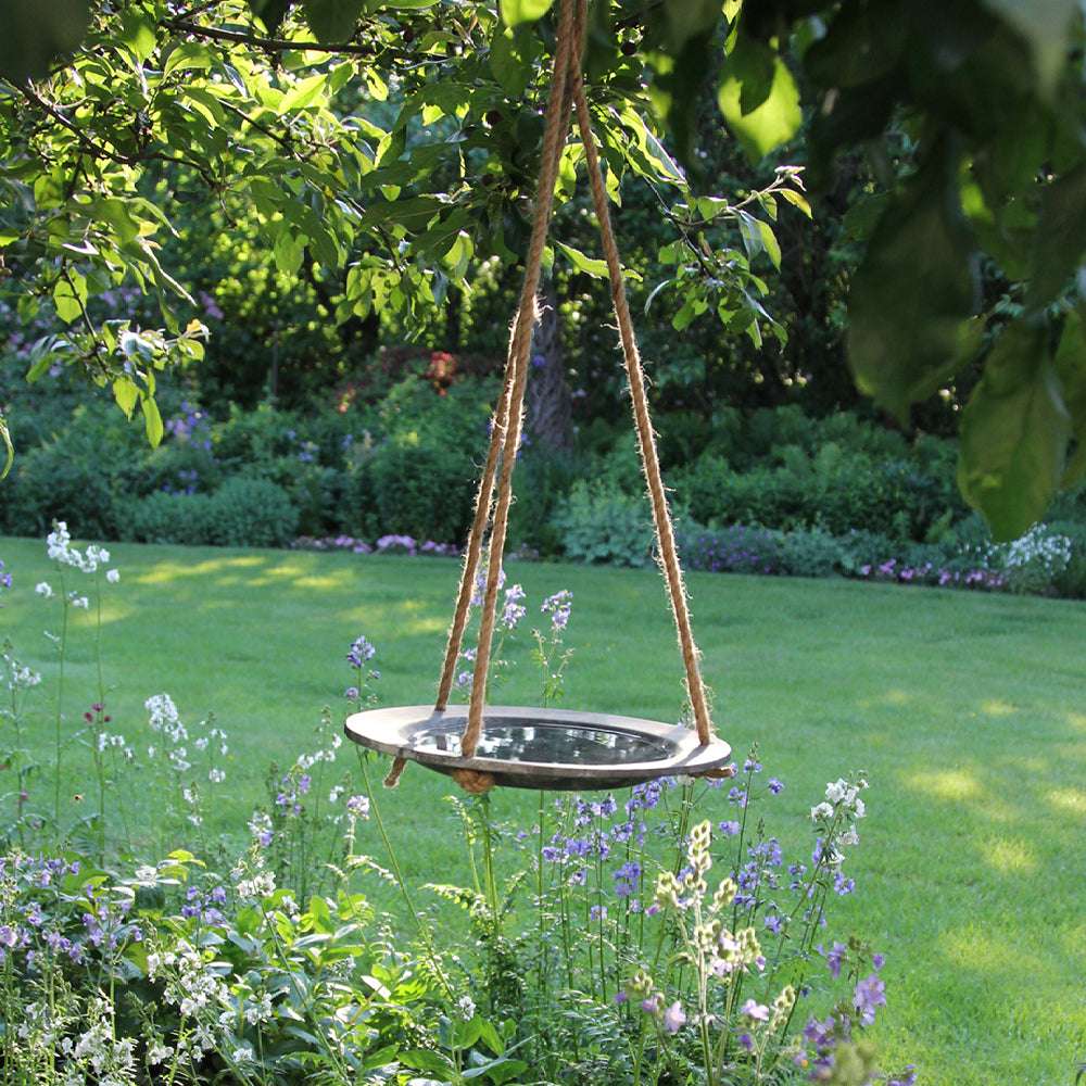 Hängende Schale in Steinoptik mit Wasser – elegantes Vogelbad im Garten
