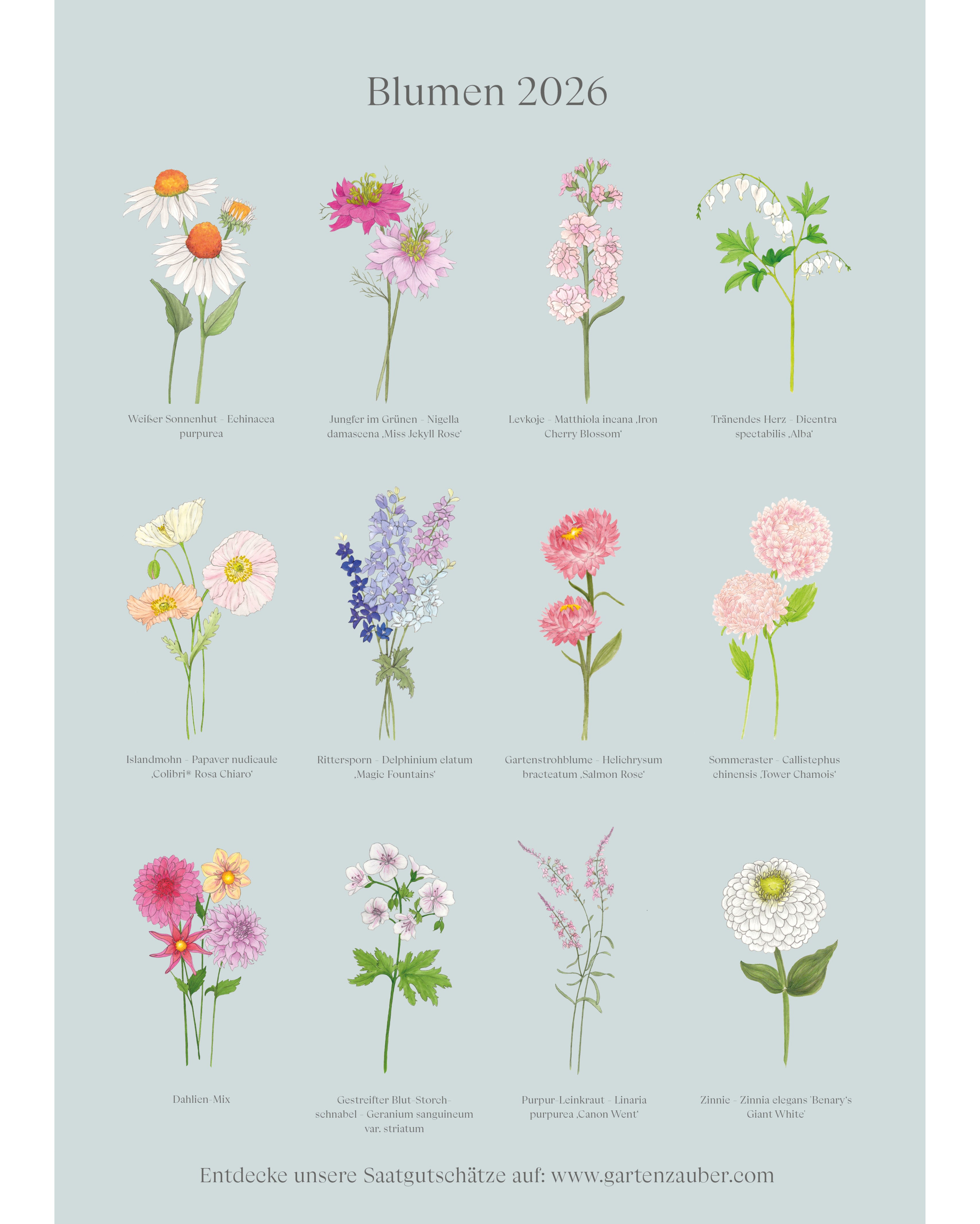 Rückseite des Blumenkalender 2026 von Gartenzauber – Übersicht aller Monatsmotive: gezeichnete Illustrationen von Weißem Sonnenhut, Jungfer im Grünen, Levkoje, Tränendem Herz, Islandmohn, Rittersporn, Gartenstrohblume, Sommeraster, Dahlien-Mix, Gestreiftem Blut-Storchschnabel, Purpur-Leinkraut und Zinnie.