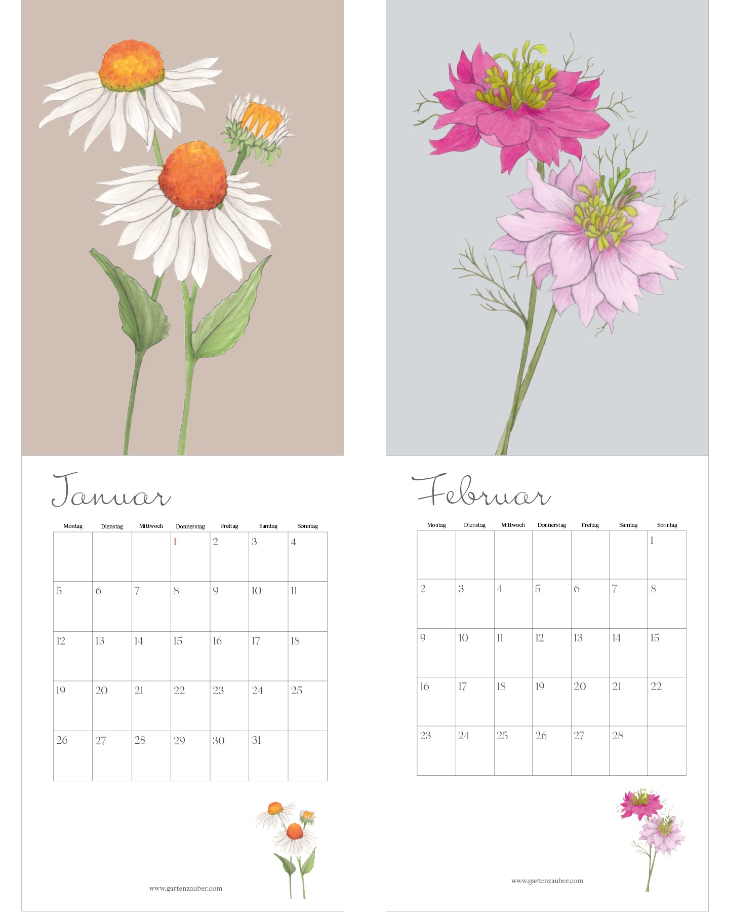 Blumenkalender 2026 von Gartenzauber: Januar mit Kamillenblüten in Weiß und Orange, Februar mit Nigella-Blüten in Rosa und Pink. Unter den Illustrationen jeweils das Monatskalendarium mit Wochentagen von Montag bis Sonntag.