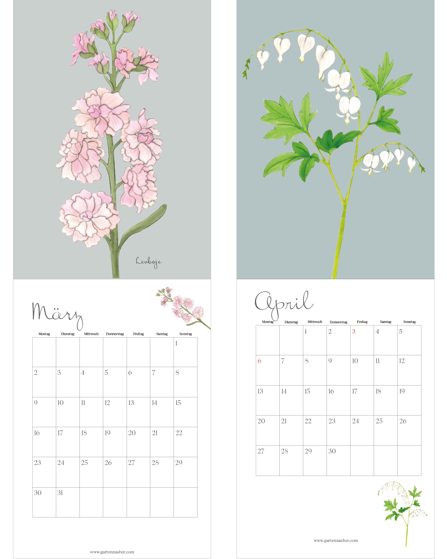 Blumenkalender 2026 von Gartenzauber: März mit zarten rosa Levkojen, April mit weißen Tränenden Herzen. Unter den Illustrationen jeweils das Monatskalendarium mit Wochentagen von Montag bis Sonntag.
