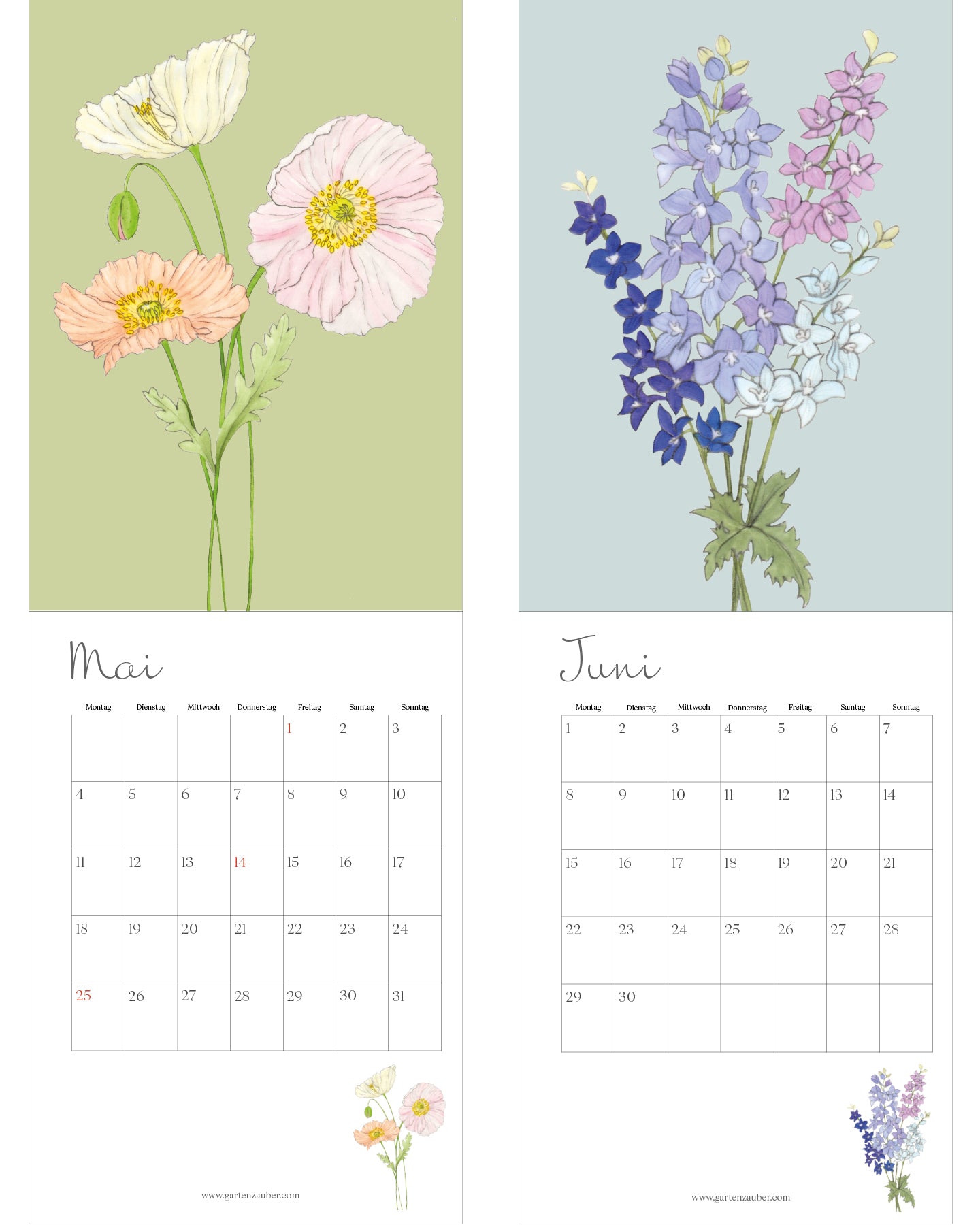 Blumenkalender 2026 von Gartenzauber: Mai mit Islandmohn in zarten Pastellfarben, Juni mit bunten Ritterspornblüten in Blau, Violett und Rosa. Unter den Illustrationen jeweils das Monatskalendarium mit Wochentagen von Montag bis Sonntag.