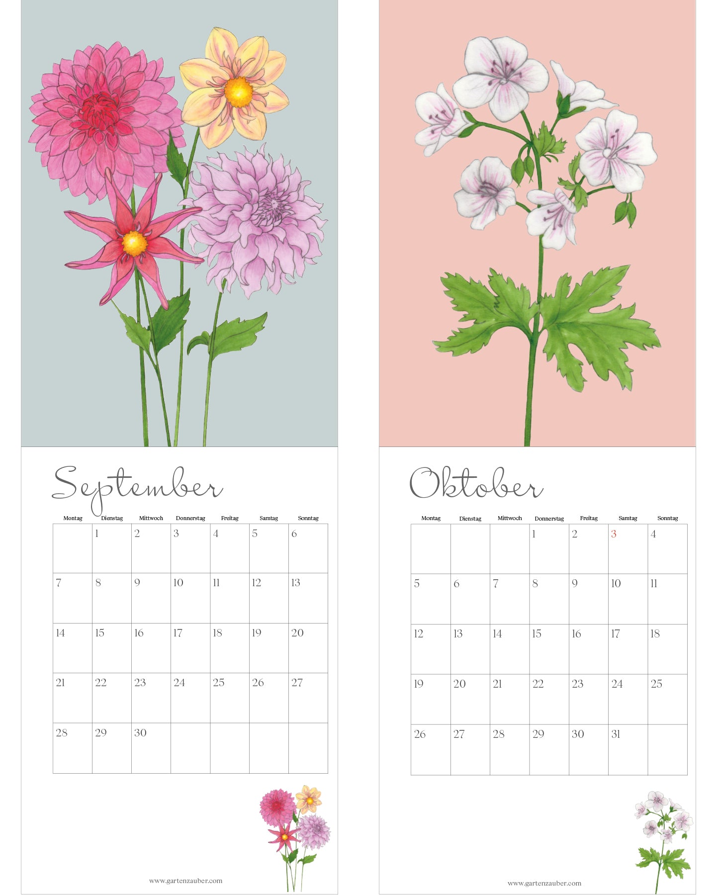 Blumenkalender 2026 von Gartenzauber: September mit Dahlien in Rosa, Pink und Gelb, Oktober mit zarten weißen Geranienblüten mit rosafarbenen Adern. Unter den Illustrationen jeweils das Monatskalendarium mit Wochentagen von Montag bis Sonntag