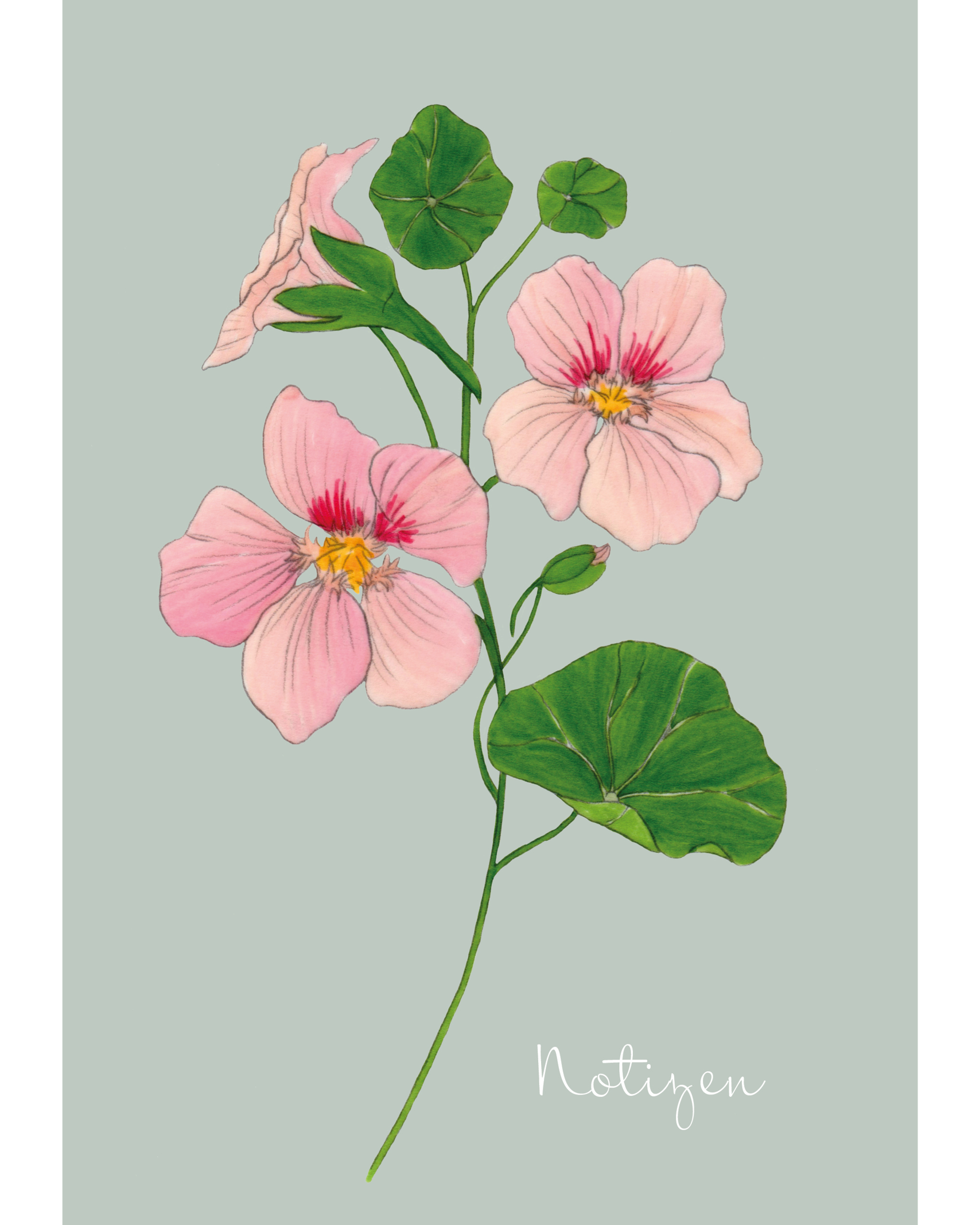 Notizheft A5 mit handgezeichneter Kapuzinerkresse Salmon Gleam – Gartenzauber Papeterie.