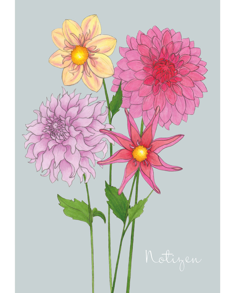 Notizheft A5 mit handgezeichneten Dahlien – Gartenzauber Papeterie. 