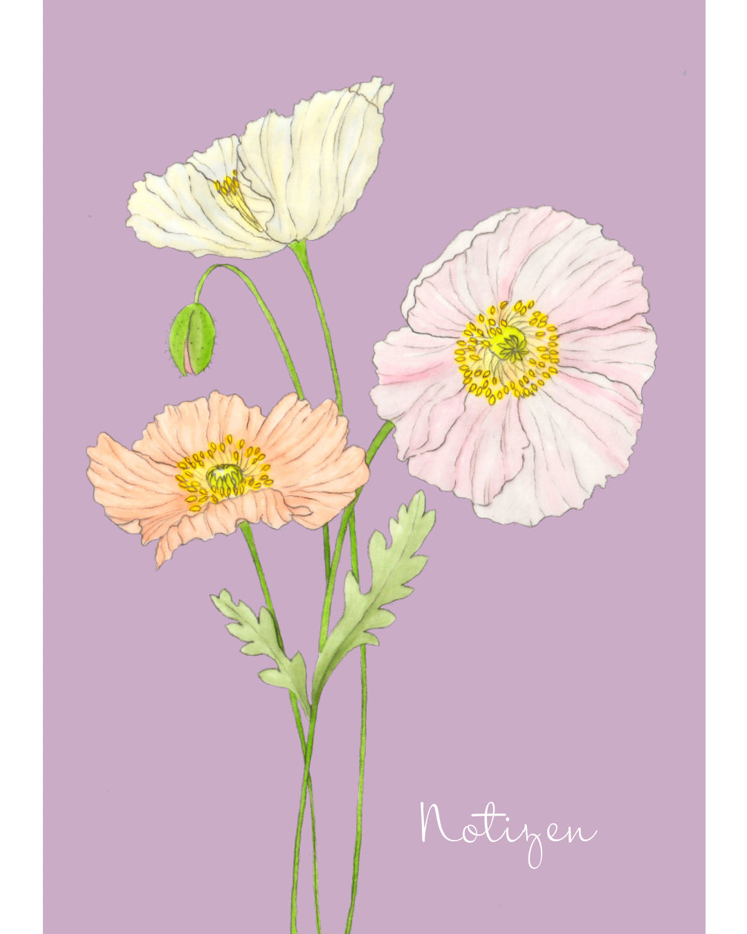 Notizheft A5 mit handgezeichnetem Islandmohn Colibri® Rosa Chiaro – Gartenzauber Papeterie.