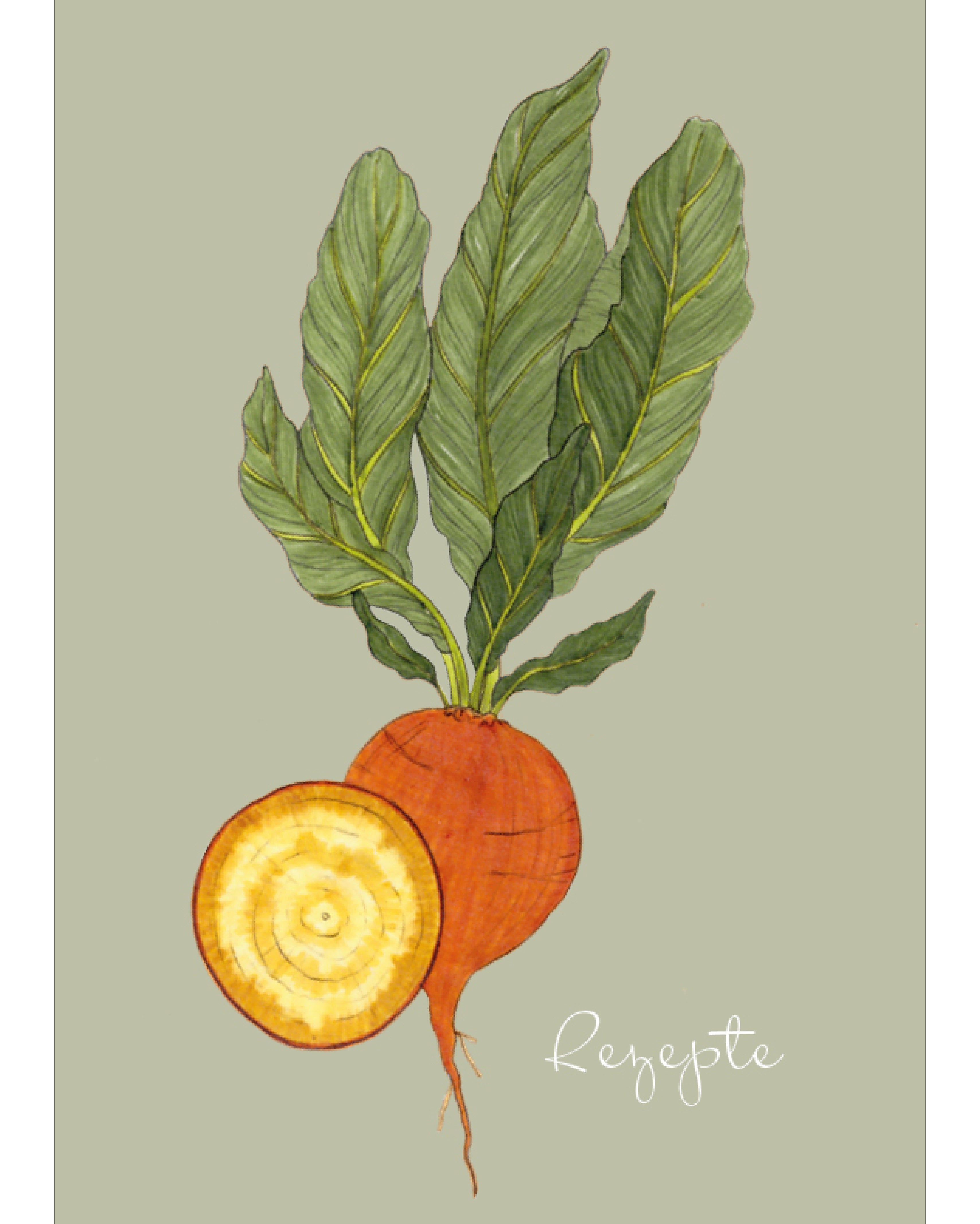 Notizheft A5 mit handgezeichneter Rote Bete Wintersonne – Gartenzauber Papeterie. 