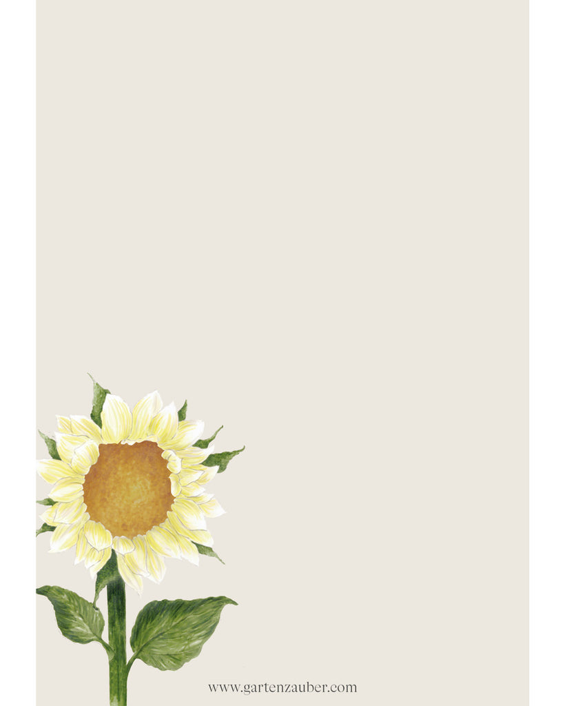 Notizblock A6 mit handgezeichneter Sonnenblume Pro Cut White Lite – Gartenzauber Papeterie. 