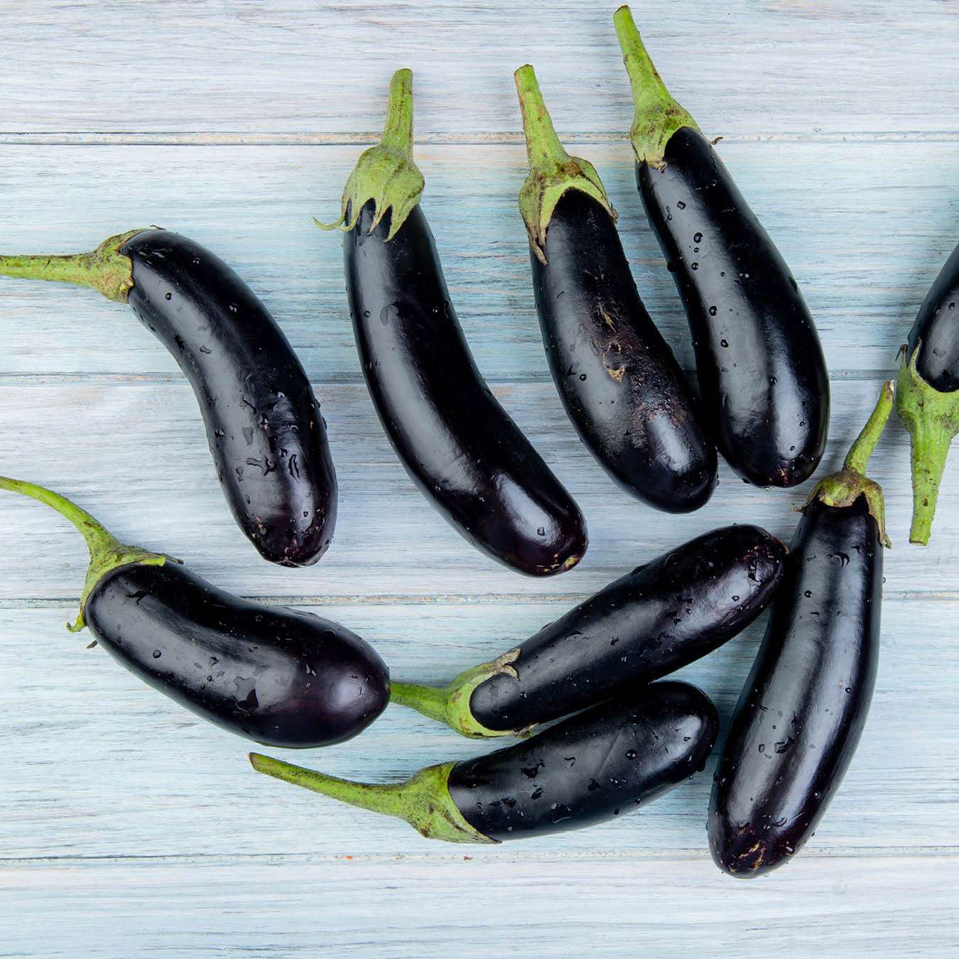 Aubergine · 'De Barbentane' · BIO · Solanum melongena · Saatgut von Gartenzauber