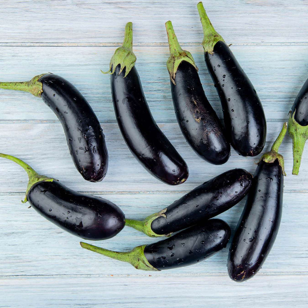 Aubergine 'De Barbentane' BIO - Solanum melongena