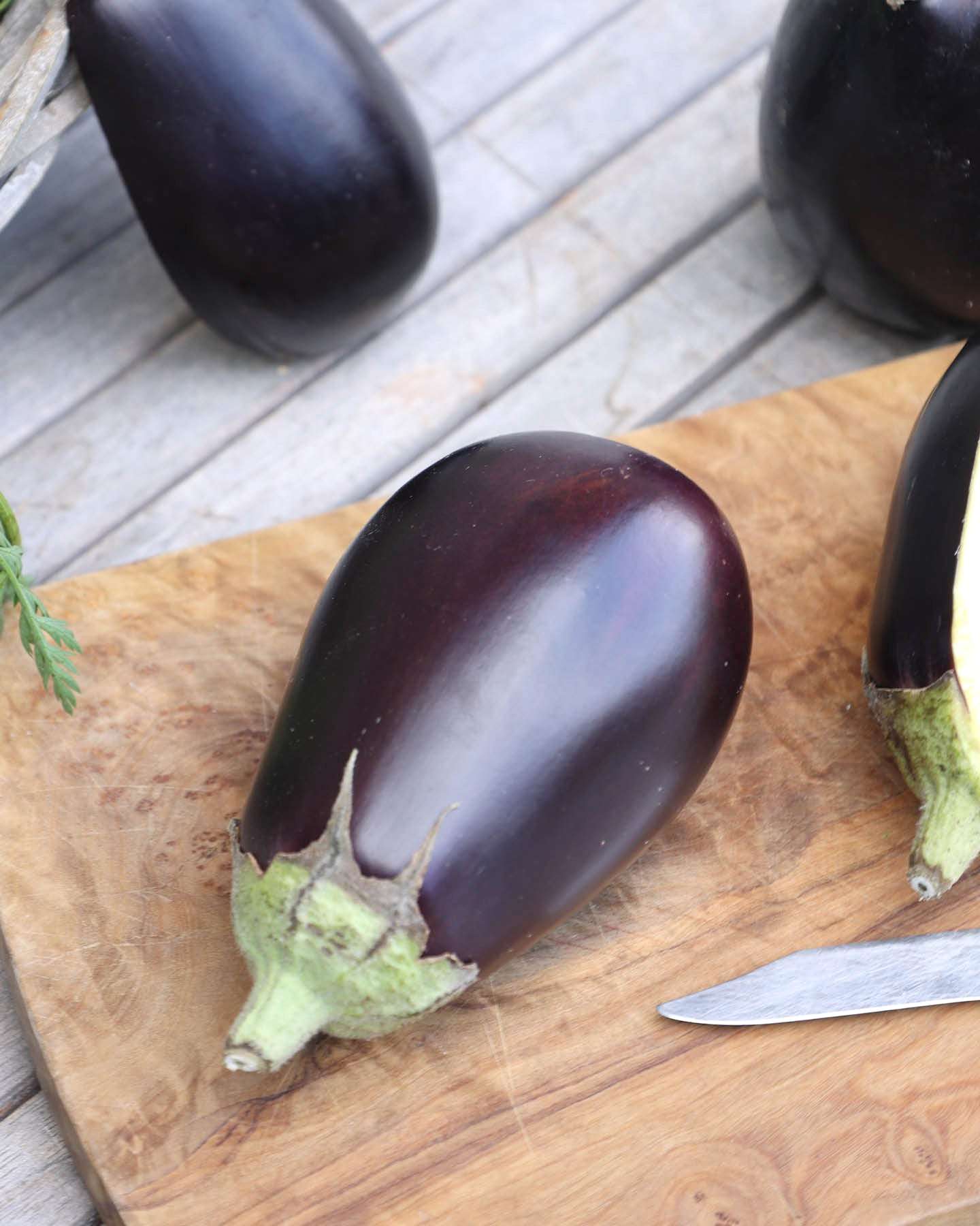 Aubergine · 'Meronda' · BIO · Solanum melongena · Saatgut von Gartenzauber