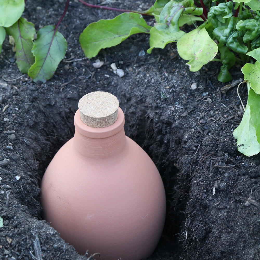 Tonbewässerungstopf Olla, 1,9 Liter, eingebettet in Erde mit einer Korkabdeckung, umgeben von grünen Pflanzen im Garten.