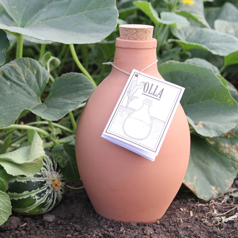 Olla Bewässerungstopf mit Korkdeckel in einem Garten, umgeben von Pflanzen, zur effizienten Pflanzenbewässerung.