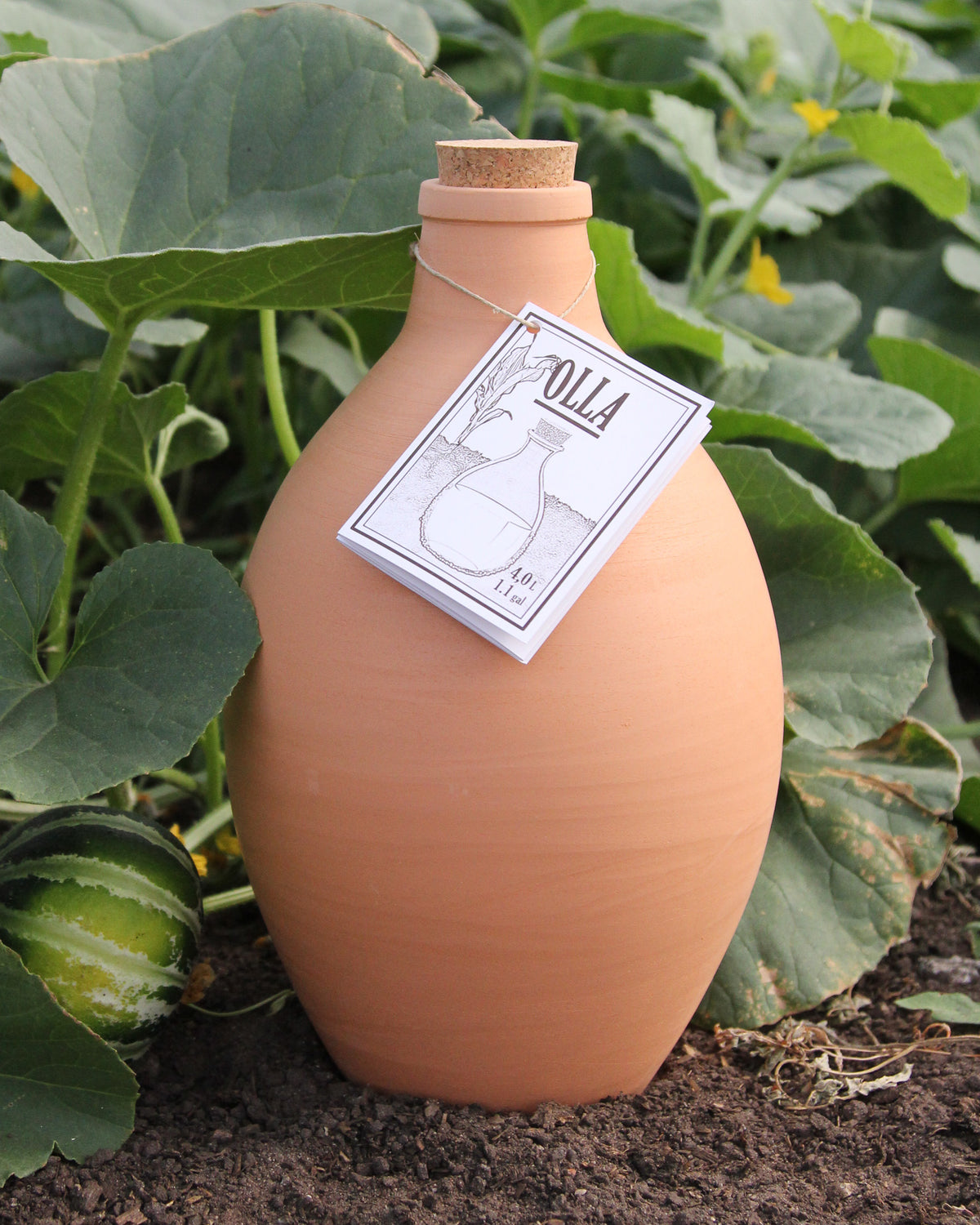 Ton-Bewässerungstopf Olla, 4 Liter, mit Korkverschluss, auf Erde zwischen grünen Pflanzblättern im Garten platziert.